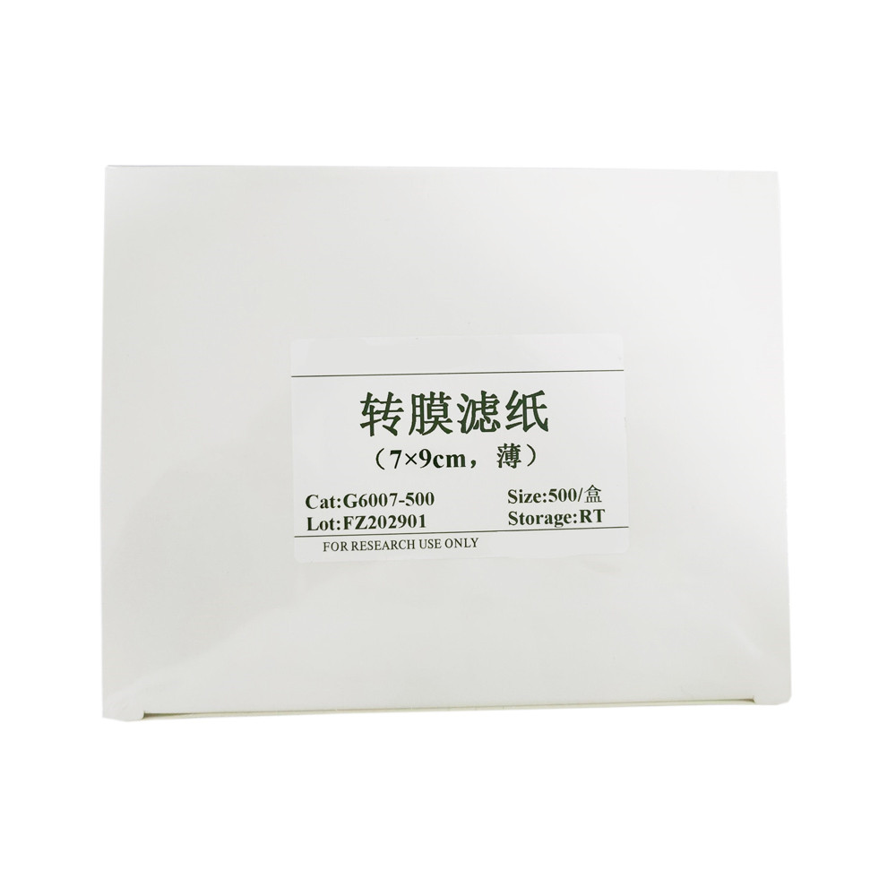 轉(zhuǎn)膜濾紙（?。? title=